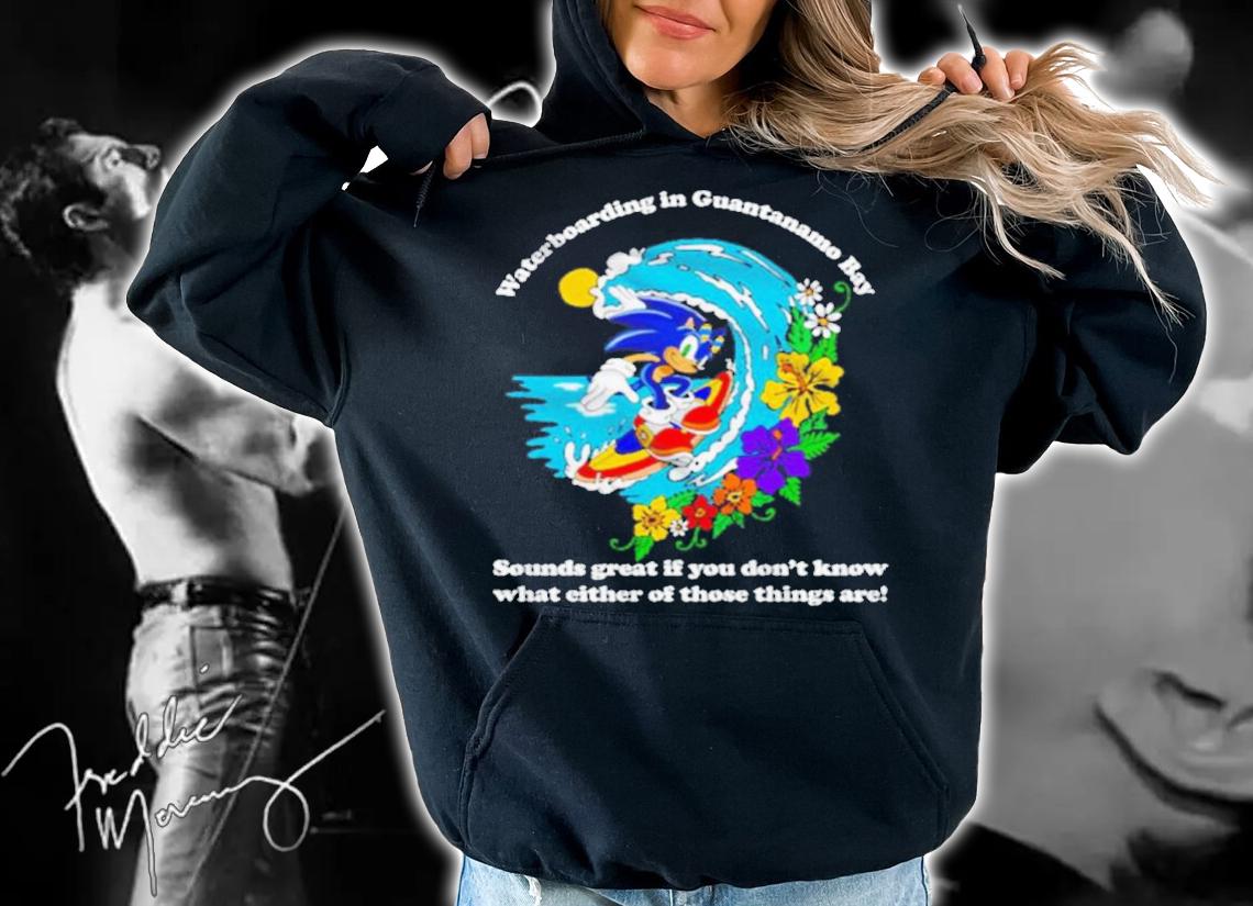 Sonic Waterboarding In Guantanamo Bay Shirt t-shirt hoodie