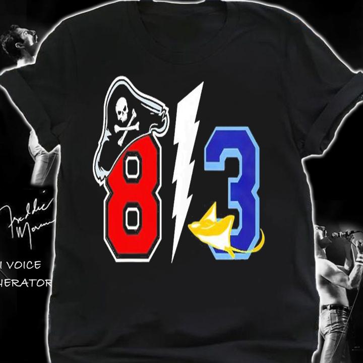 Tampa Bay Florida 813 Sports T-Shirt t-shirt