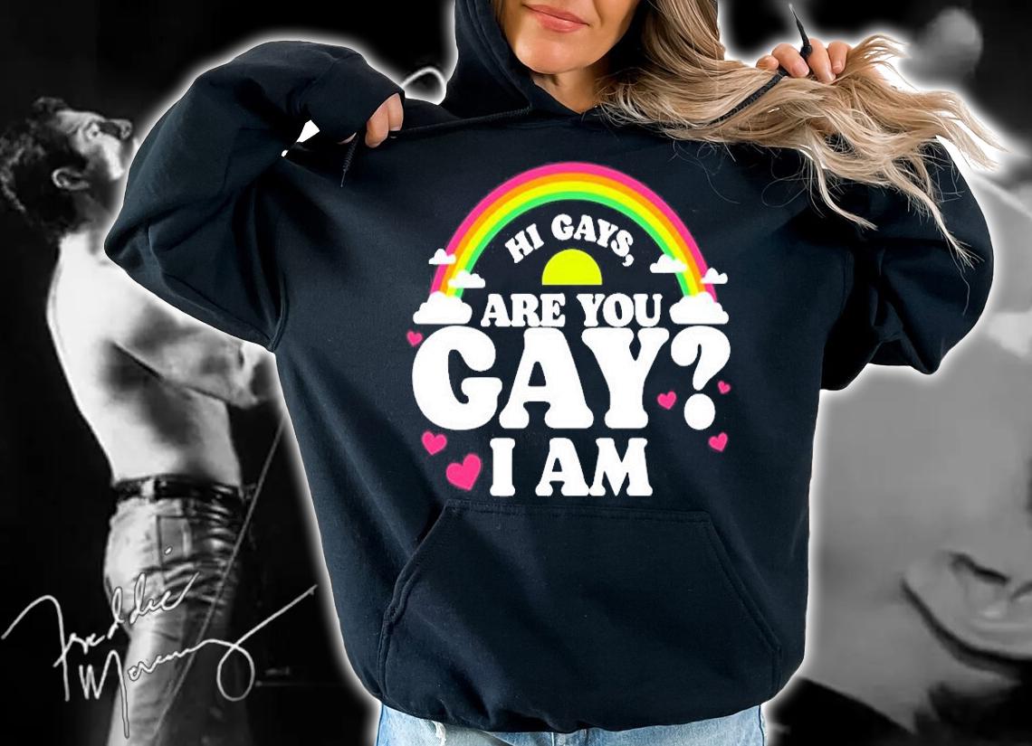 Hi Gays Are You Gay I Am T-Shirt t-shirt hoodie