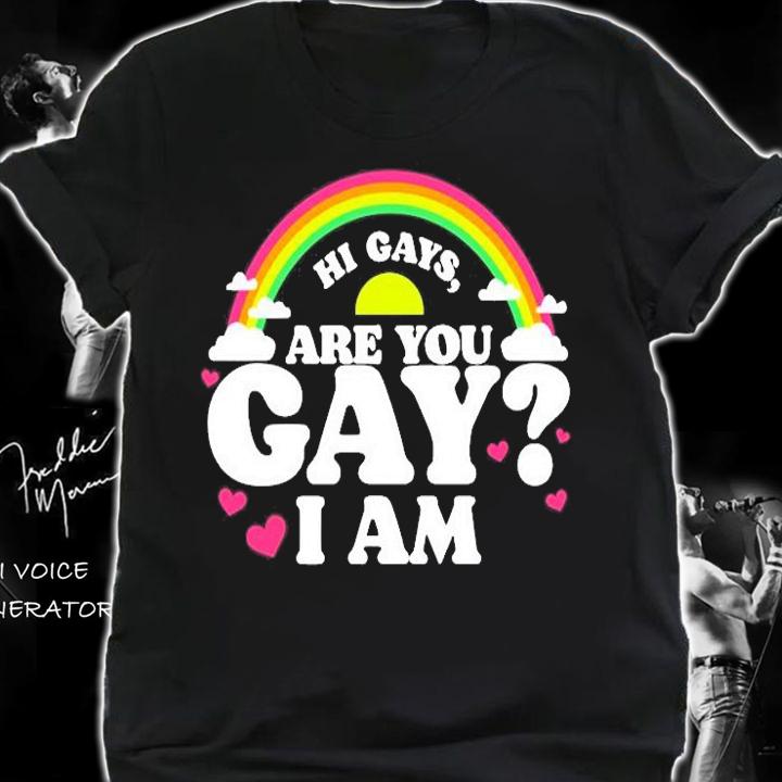 Hi Gays Are You Gay I Am T-Shirt t-shirt shirt