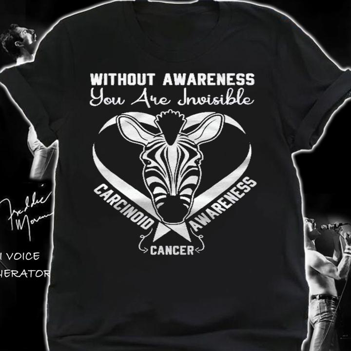 You Are Invisible Carcinoid Cancer Awareness Zebra Ribbon Shirt t-shirt shirt