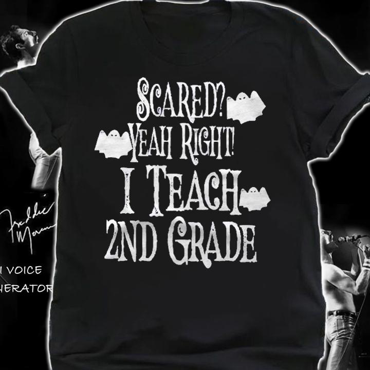 Scared Yeah Right I Teach 2Nd Grade Halloween Ghost Teacher Shirt t-shirt