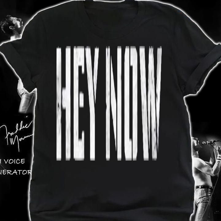 Hey Now Funny Novelty Shirt t-shirt
